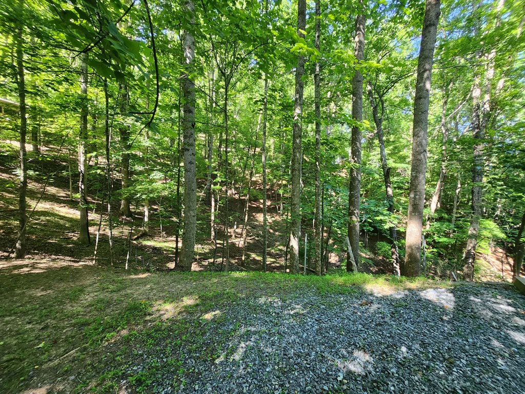 158 5th Street Property Photo 10