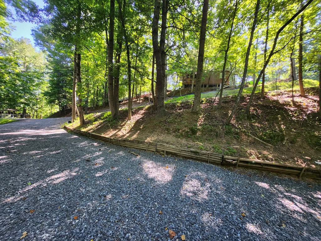 158 5th Street Property Photo 14