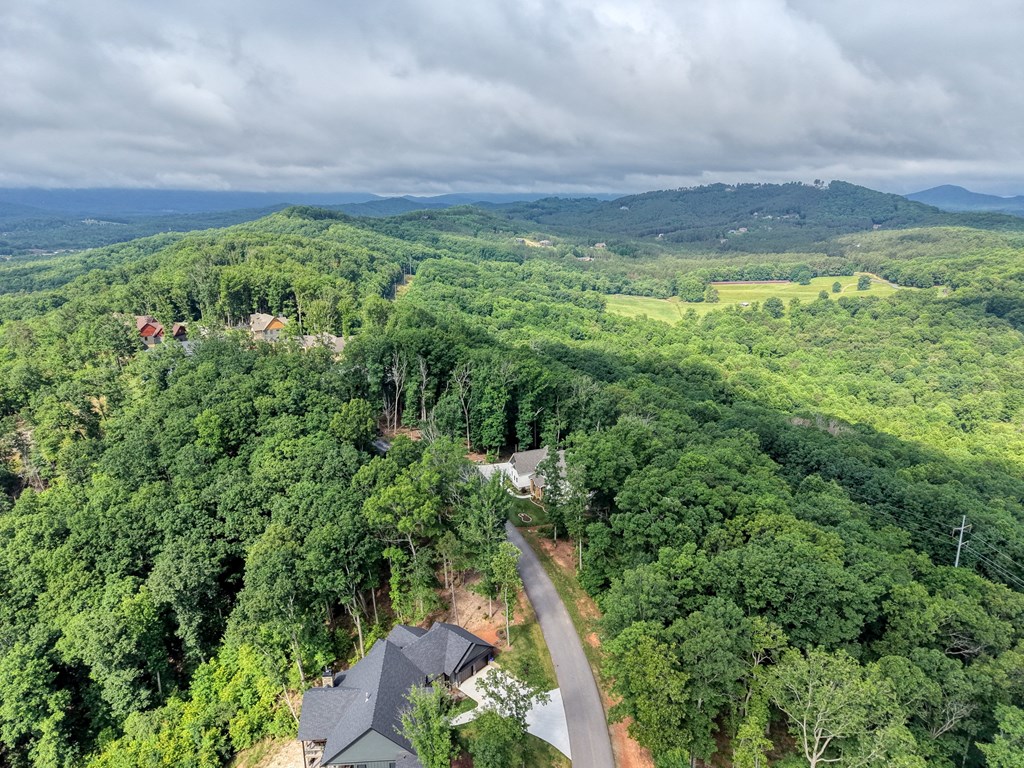 514 Winding Ridge Property Photo 81