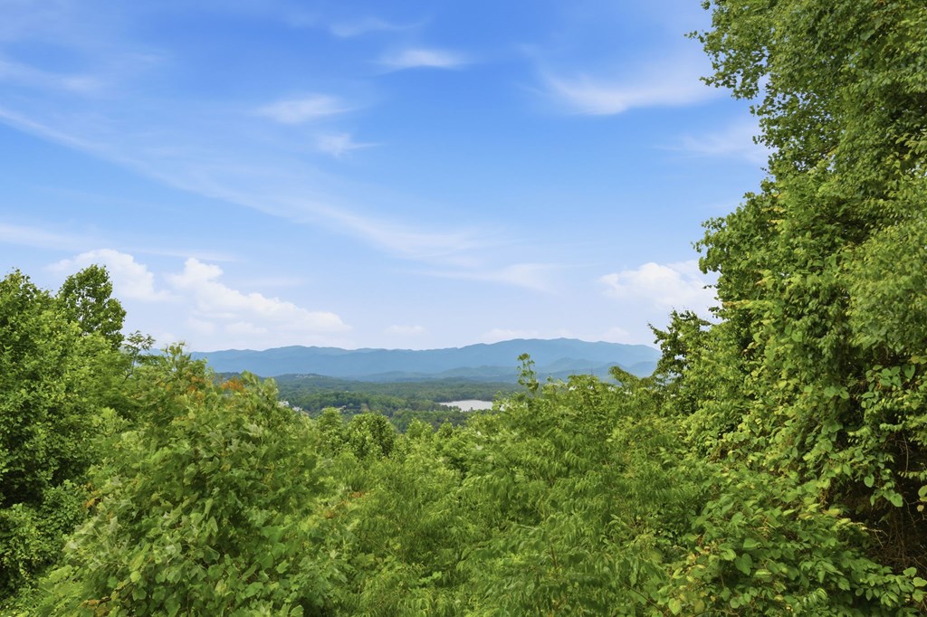 3160 Hiawassee Trace Property Photo 3