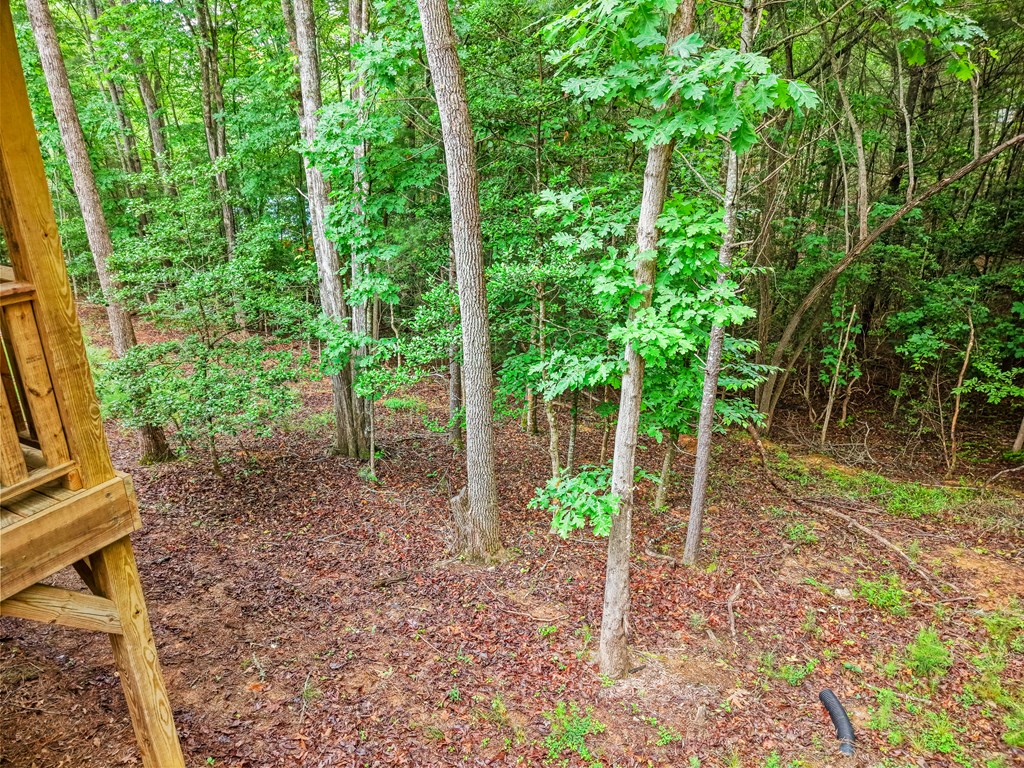 207 Bentley Cove Property Photo 35
