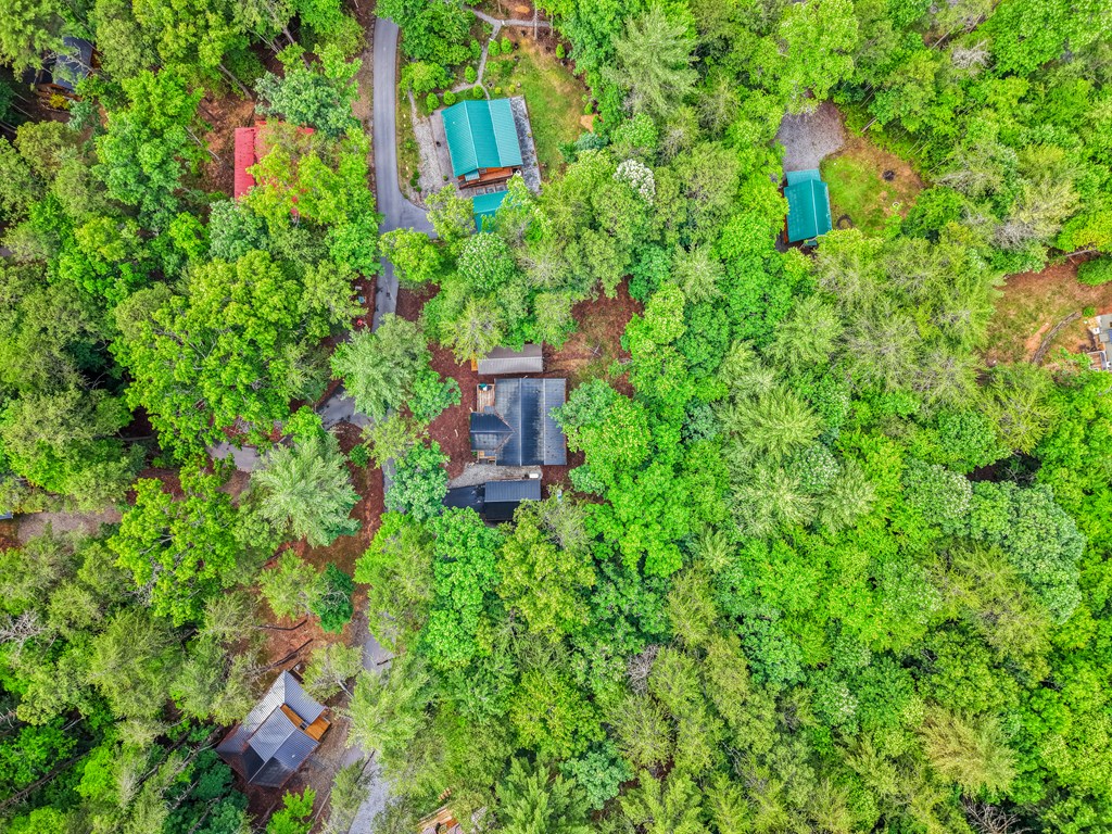 207 Bentley Cove Property Photo 41