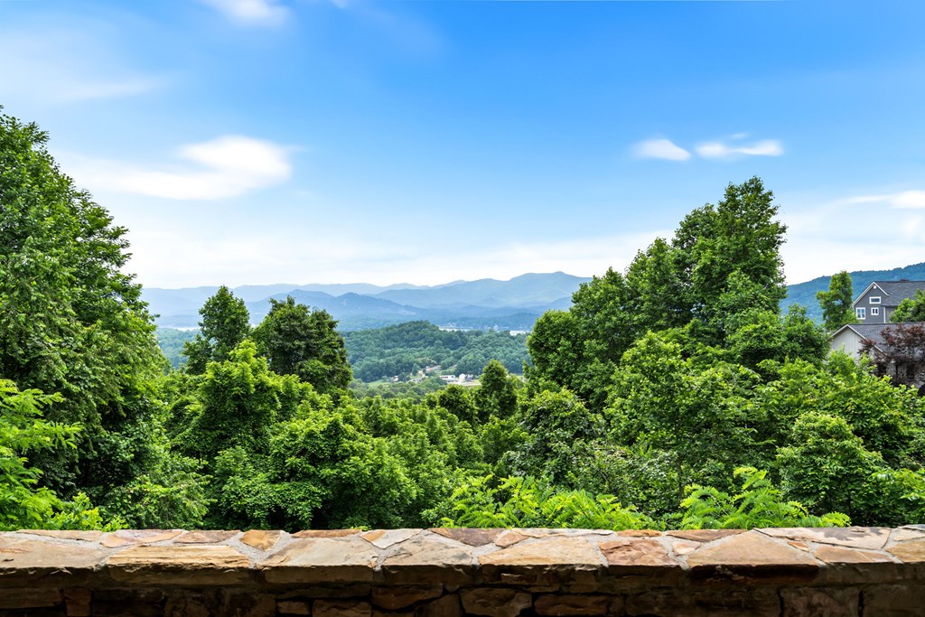 1748 Harris Ridge Road Property Photo 44