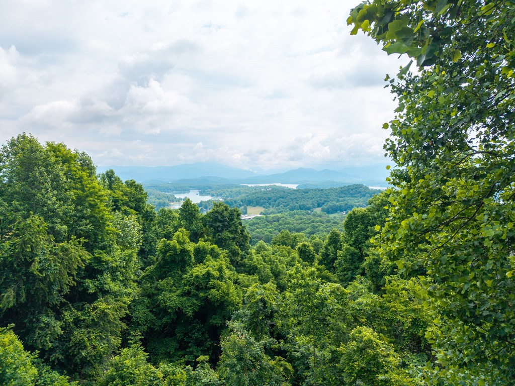 1748 Harris Ridge Road Property Photo 69