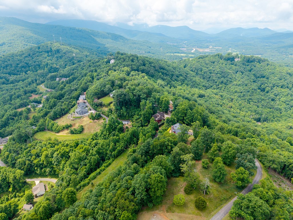 1748 Harris Ridge Road Property Photo 72