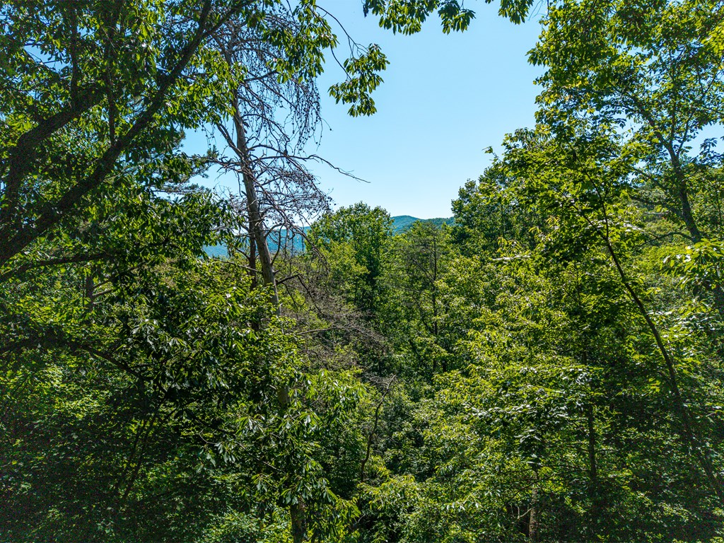 775 Mountain Oak Road Property Photo 60