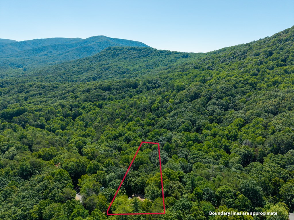 775 Mountain Oak Road Property Photo 64