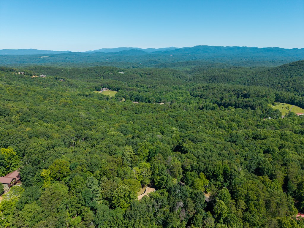 775 Mountain Oak Road Property Photo 66