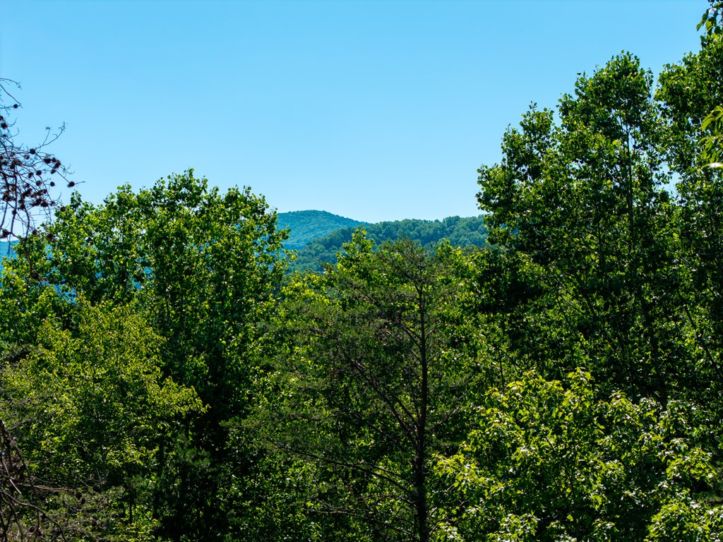 775 Mountain Oak Road Property Photo 67