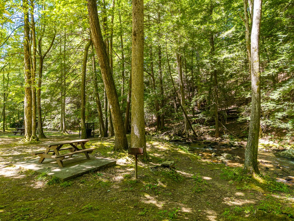 775 Mountain Oak Road Property Photo 106