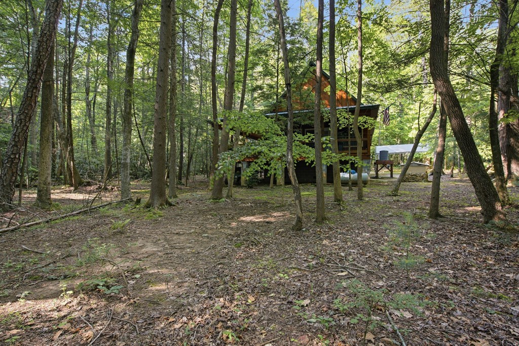 491 Old Parker Terrace Property Photo 4
