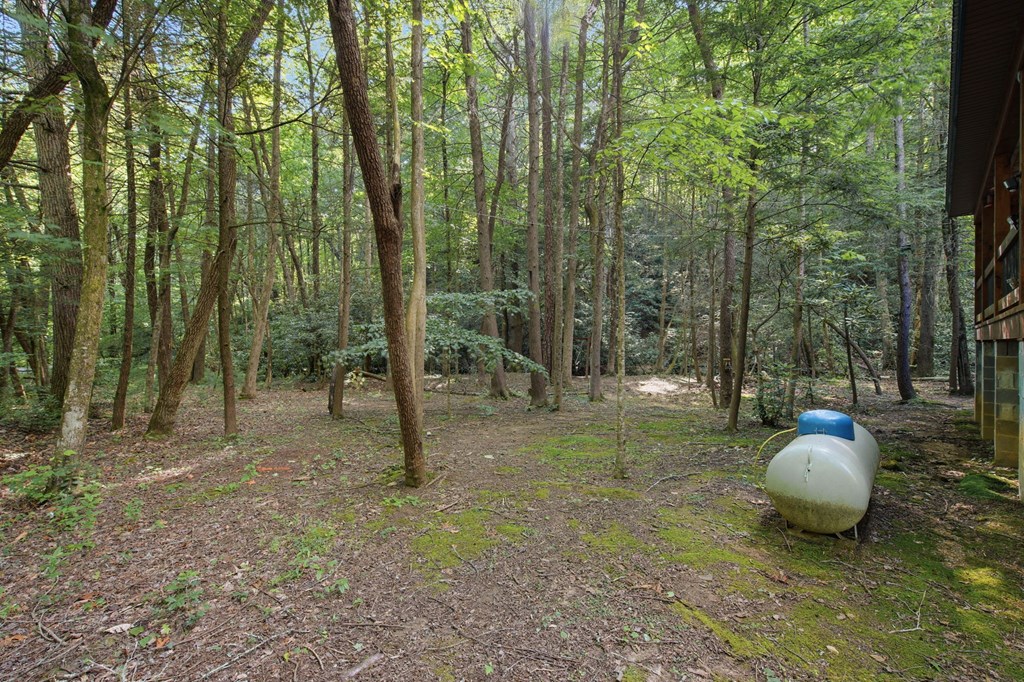491 Old Parker Terrace Property Photo 39