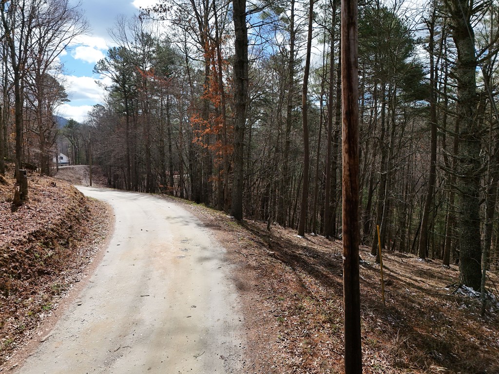 Lt 45a Synacia Drive Property Photo 3