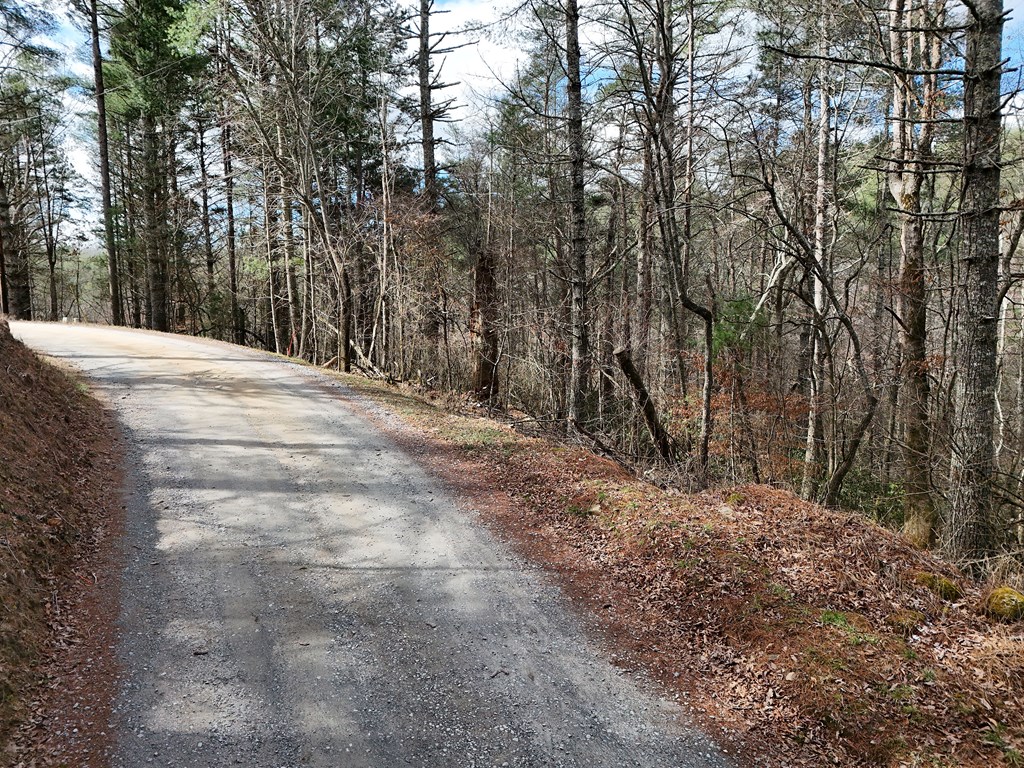 Lt 45a Synacia Drive Property Photo 16