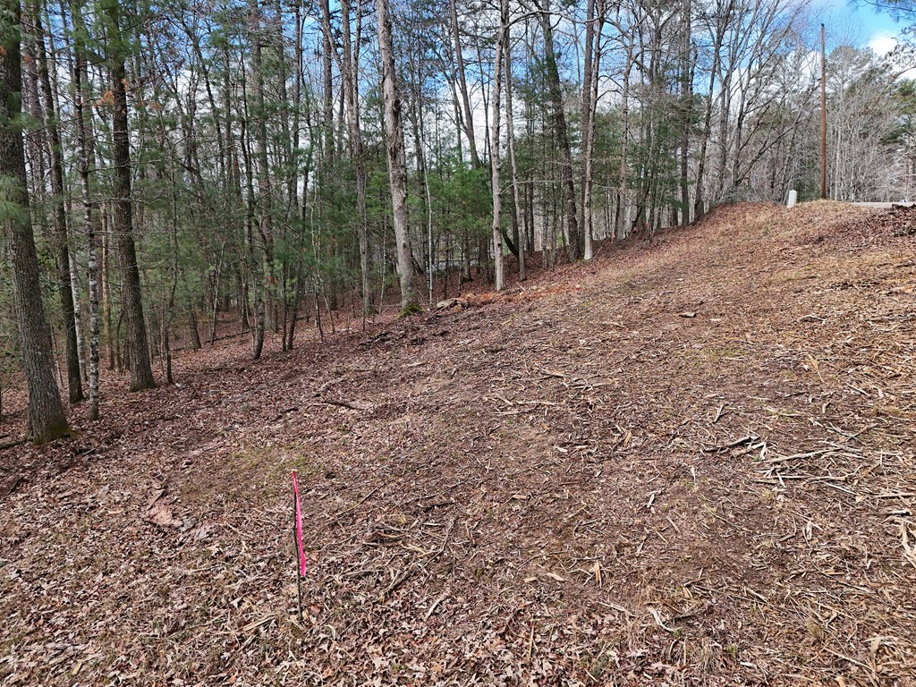 Lt 45a Synacia Drive Property Photo 17