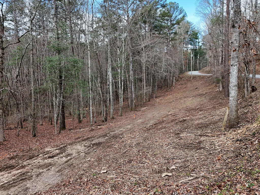 Lt 45a Synacia Drive Property Photo 18