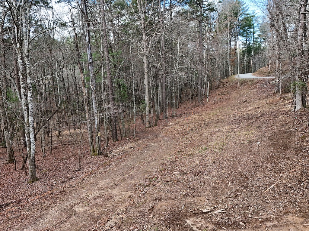 Lt 45a Synacia Drive Property Photo 19