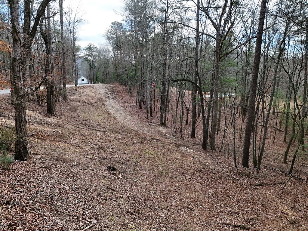 Lt 45a Synacia Drive Property Photo 20