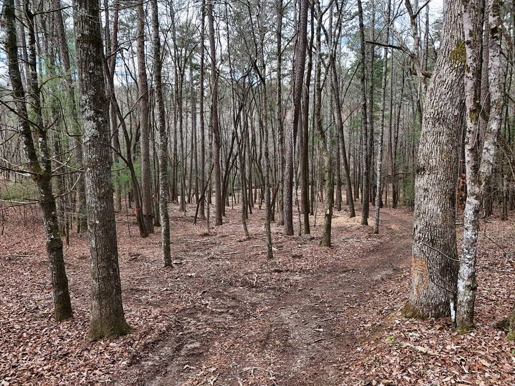 Lt 45a Synacia Drive Property Photo 22