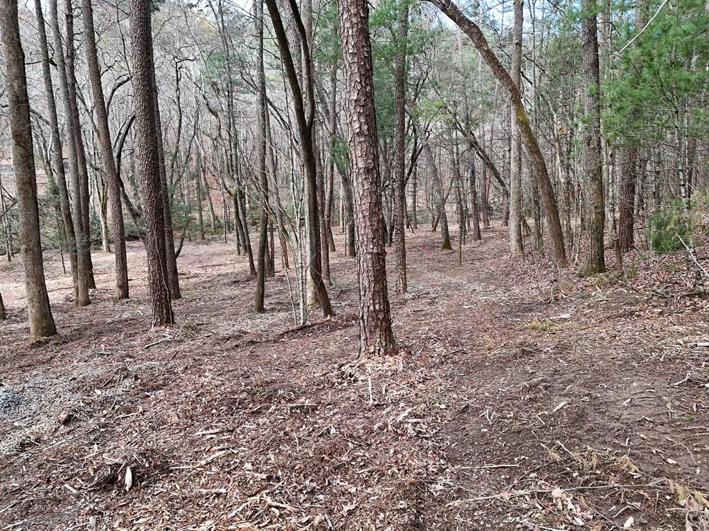 Lt 45a Synacia Drive Property Photo 25