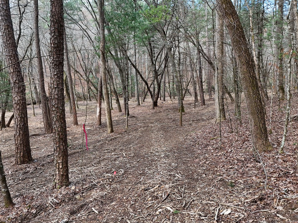 Lt 45a Synacia Drive Property Photo 26