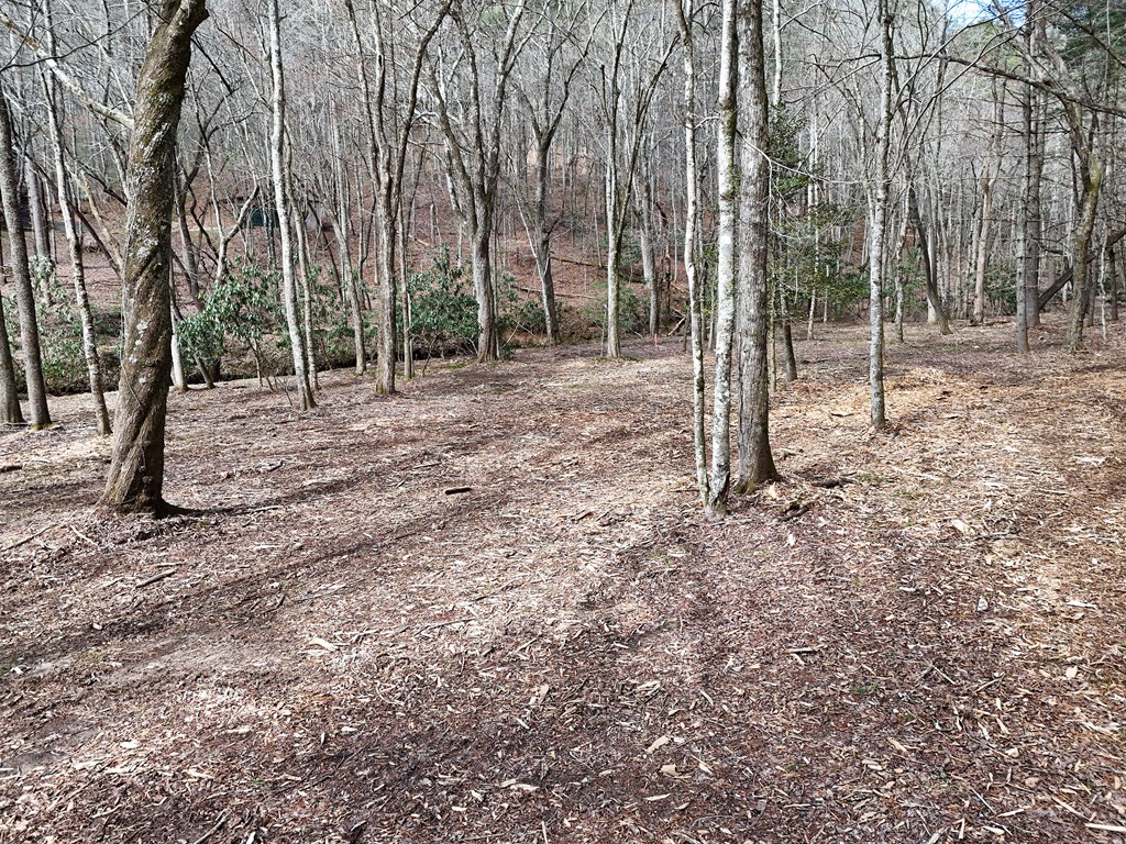 Lt 45a Synacia Drive Property Photo 27