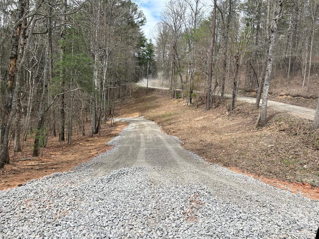 Lt 45a Synacia Drive Property Photo 29