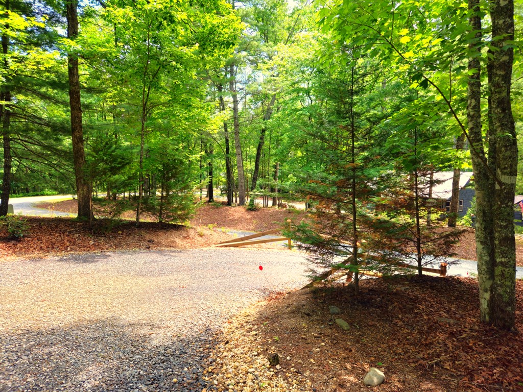 211 Winding Brook Trail Property Photo 8