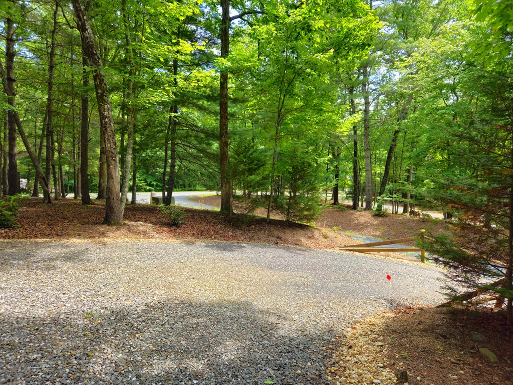 211 Winding Brook Trail Property Photo 9