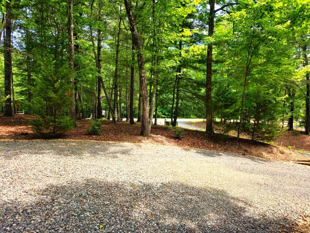 211 Winding Brook Trail Property Photo 10