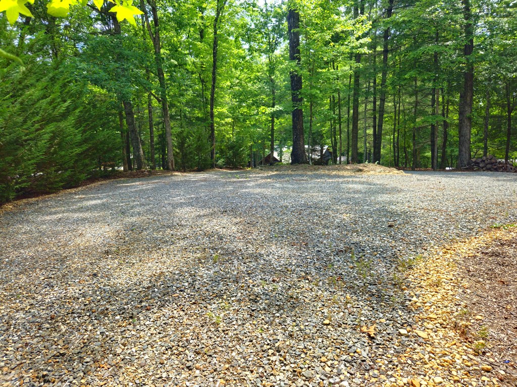 211 Winding Brook Trail Property Photo 12