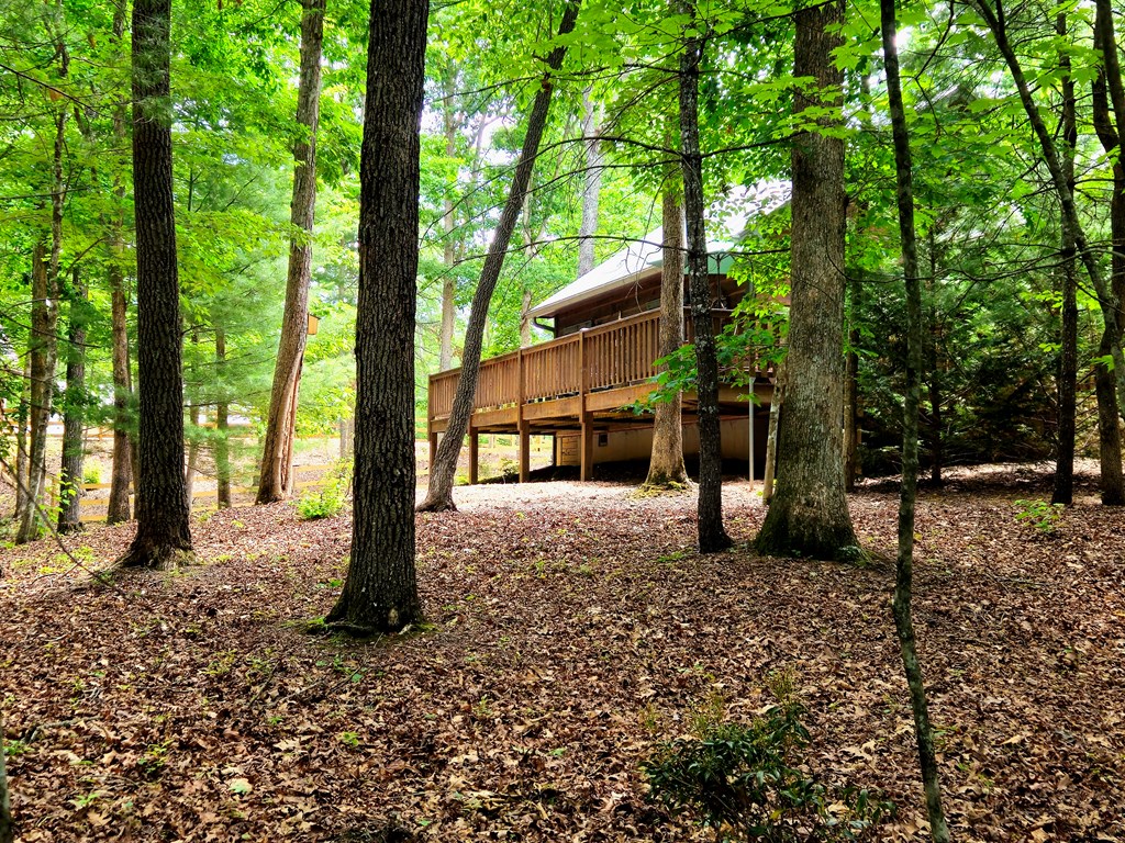 211 Winding Brook Trail Property Photo 54