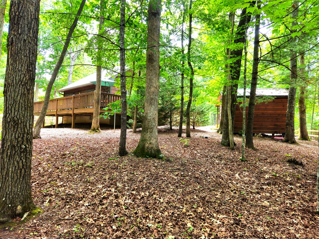 211 Winding Brook Trail Property Photo 55