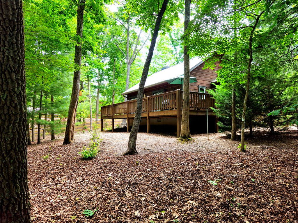 211 Winding Brook Trail Property Photo 56