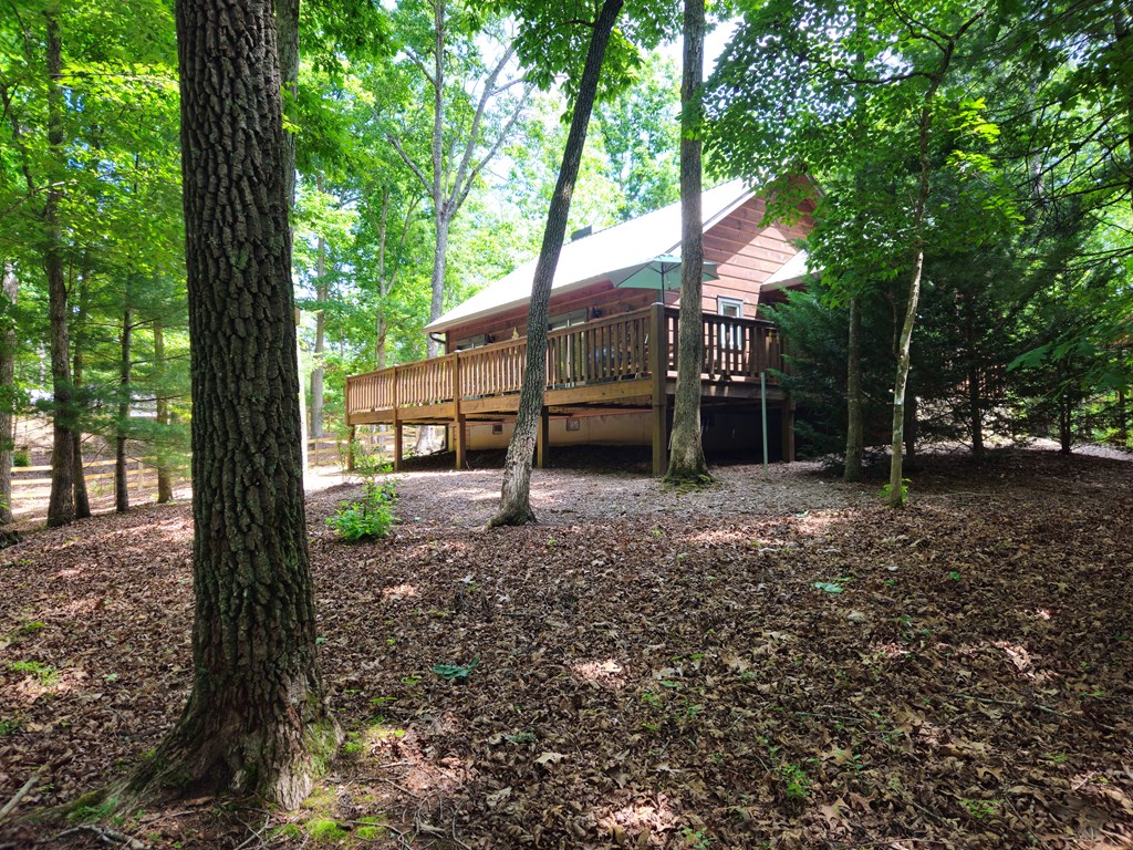 211 Winding Brook Trail Property Photo 58