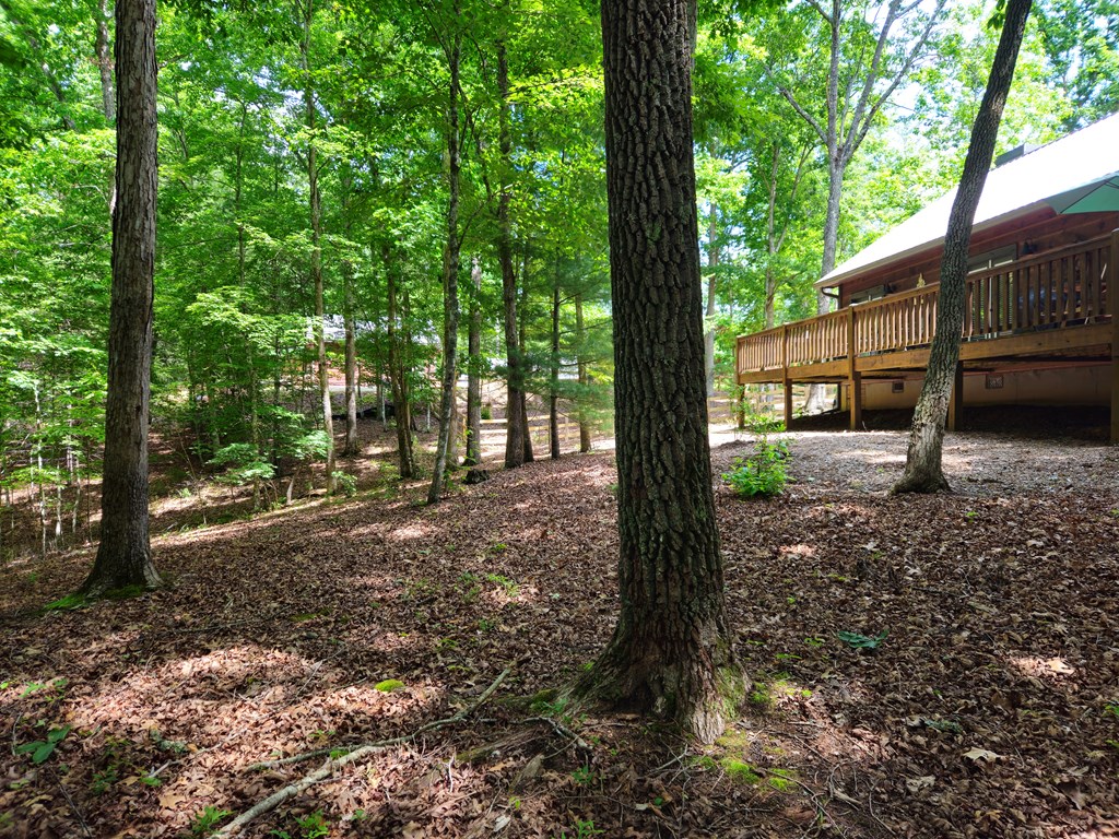 211 Winding Brook Trail Property Photo 59