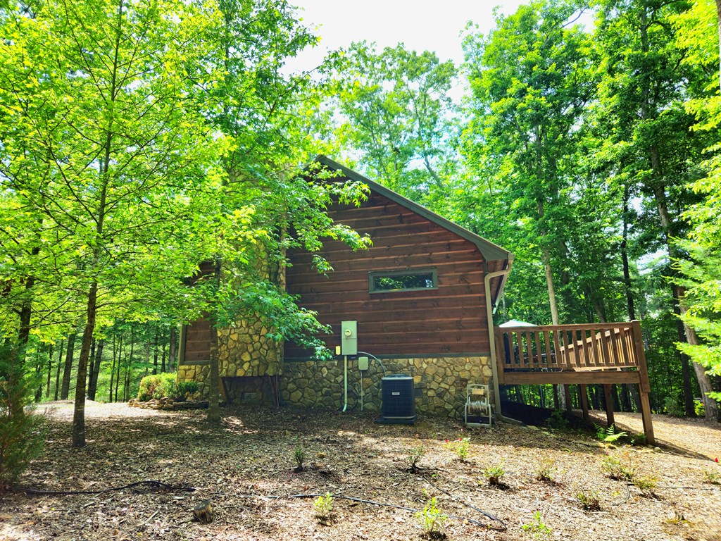 211 Winding Brook Trail Property Photo 64