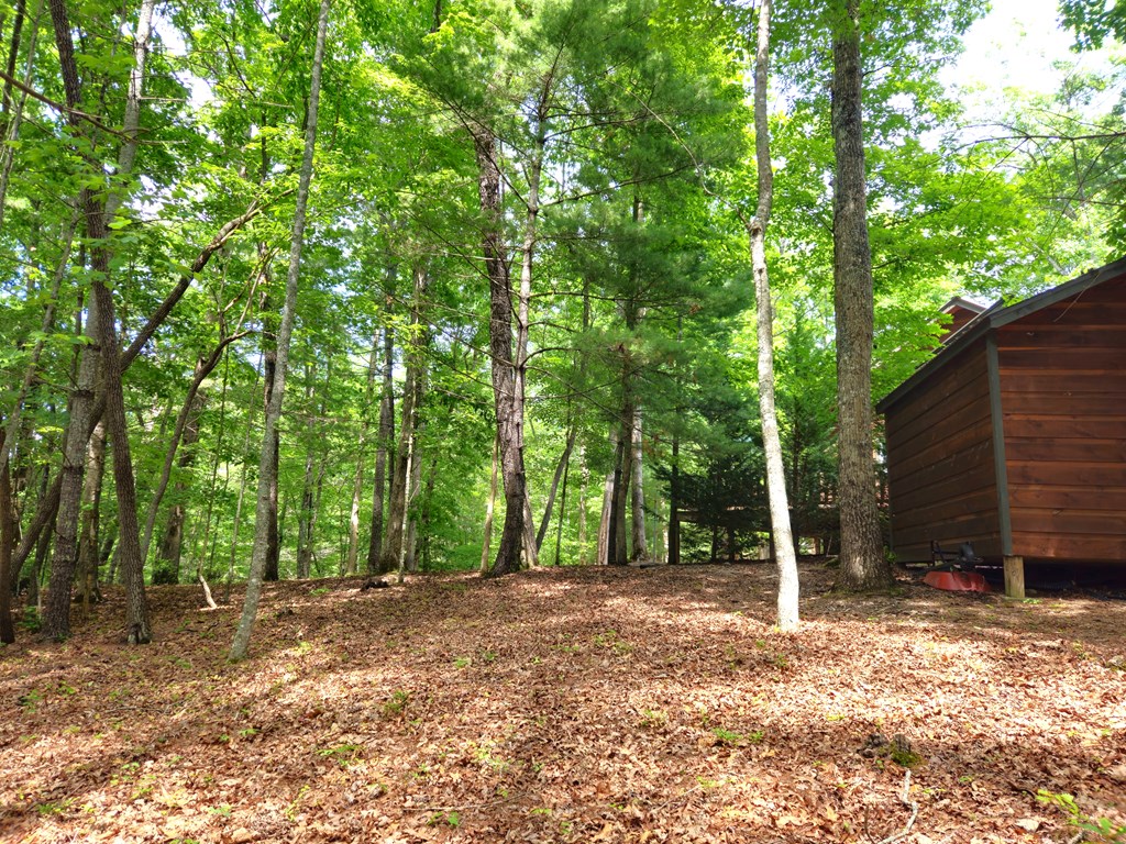 211 Winding Brook Trail Property Photo 65