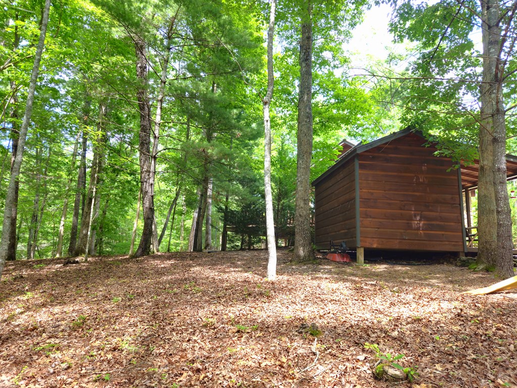211 Winding Brook Trail Property Photo 66
