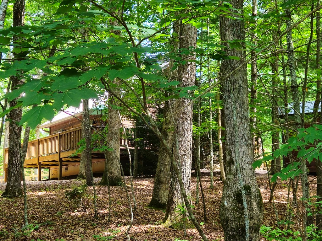 211 Winding Brook Trail Property Photo 67