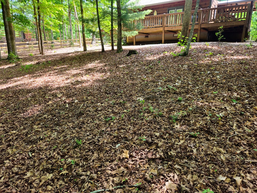 211 Winding Brook Trail Property Photo 73