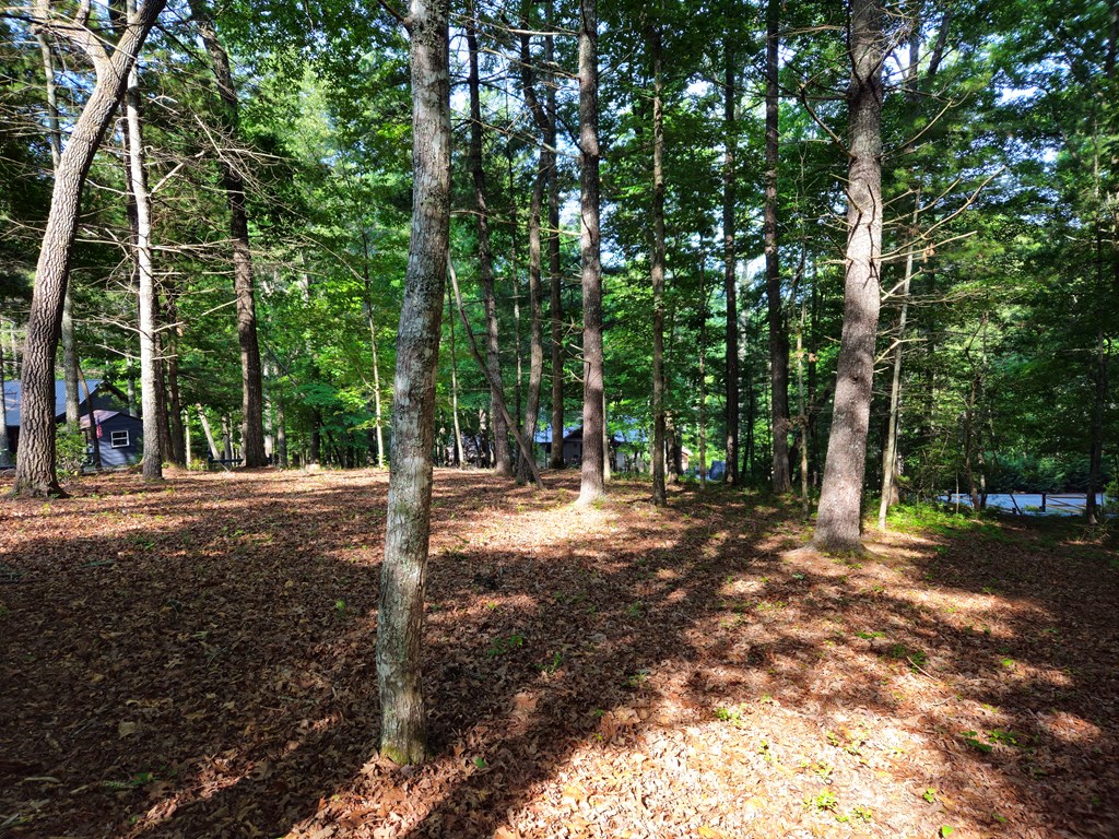 211 Winding Brook Trail Property Photo 74