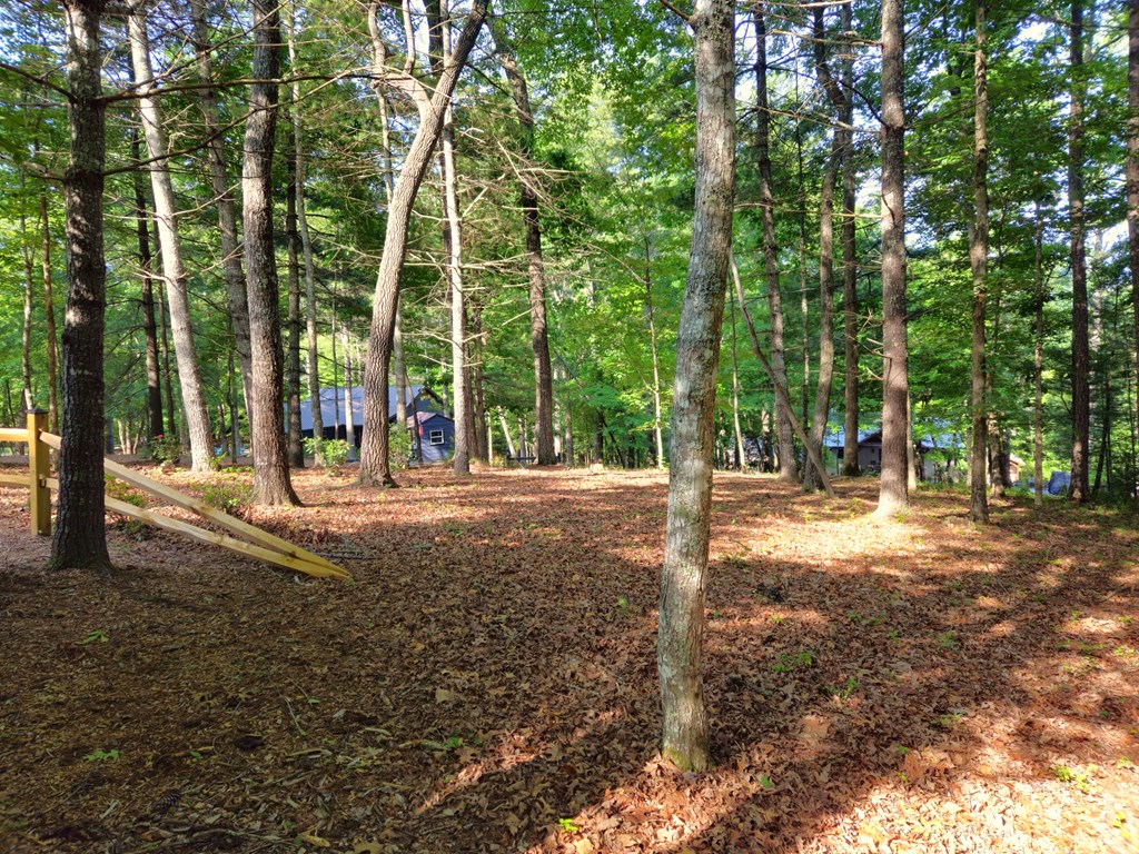 211 Winding Brook Trail Property Photo 75