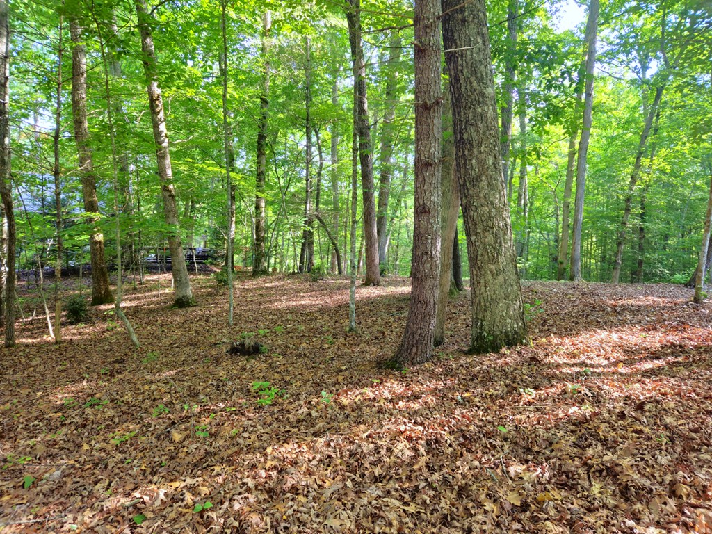 211 Winding Brook Trail Property Photo 76