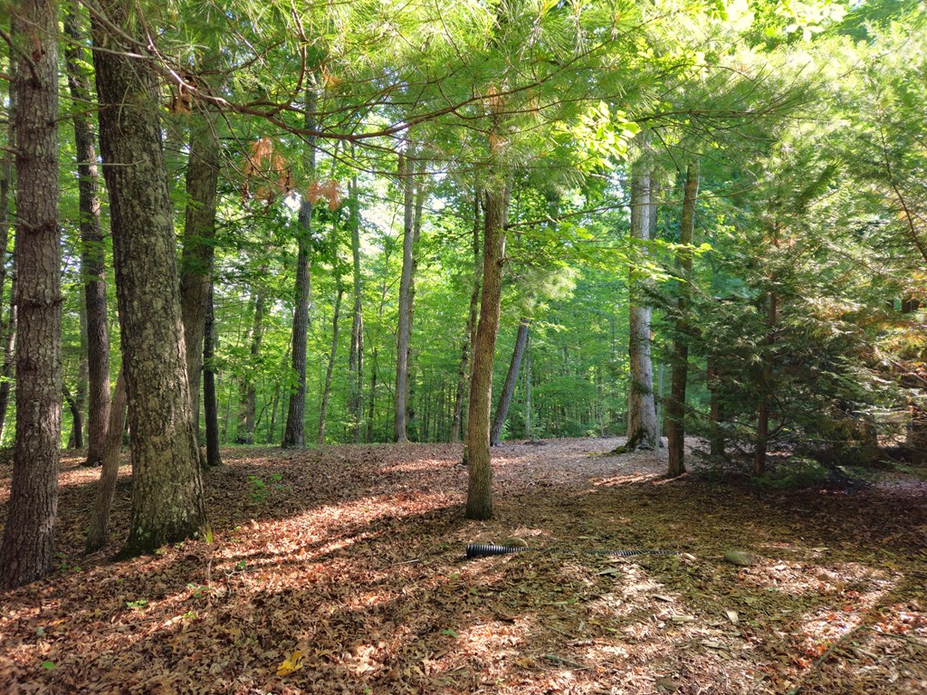211 Winding Brook Trail Property Photo 77