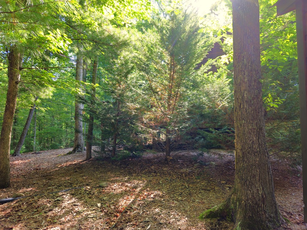 211 Winding Brook Trail Property Photo 78