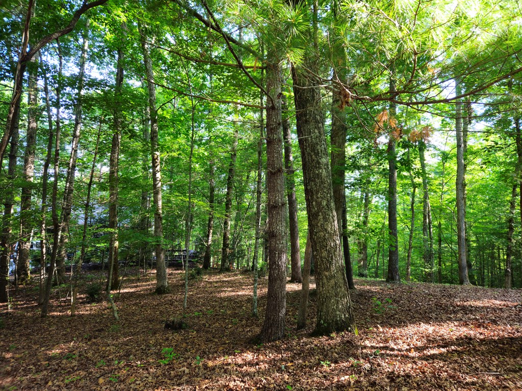 211 Winding Brook Trail Property Photo 79