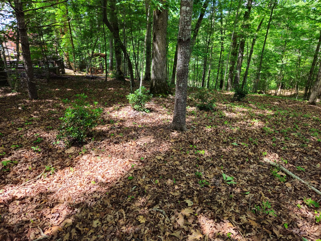 211 Winding Brook Trail Property Photo 80