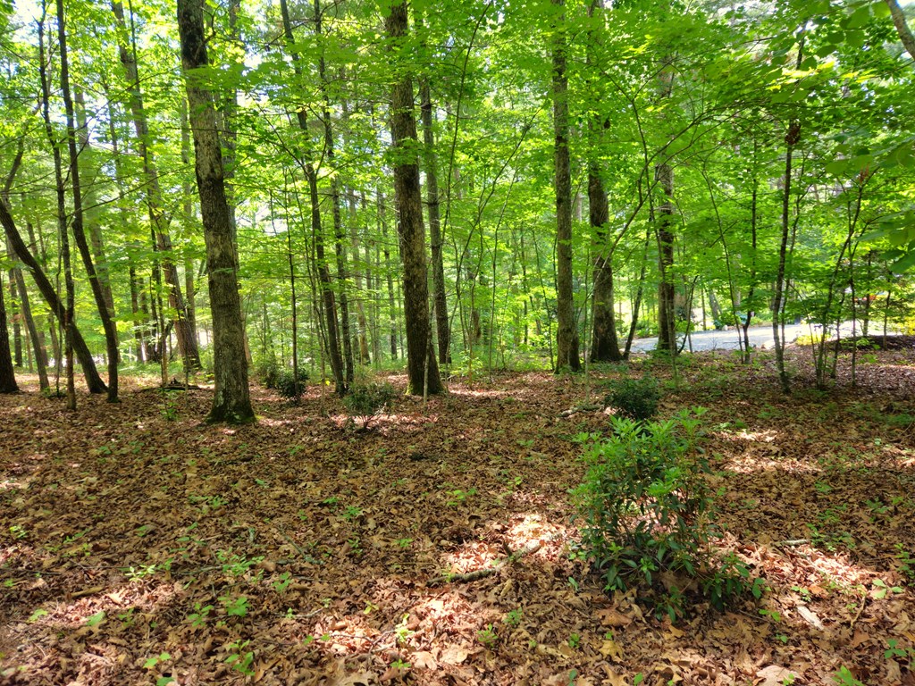 211 Winding Brook Trail Property Photo 81