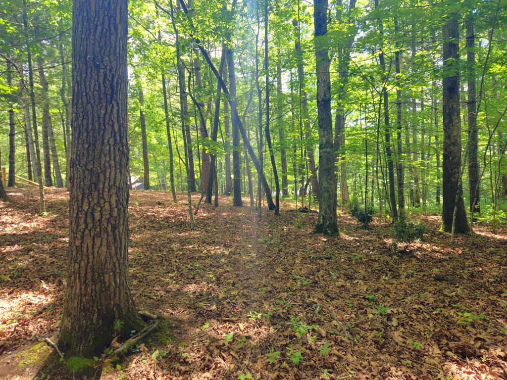 211 Winding Brook Trail Property Photo 82